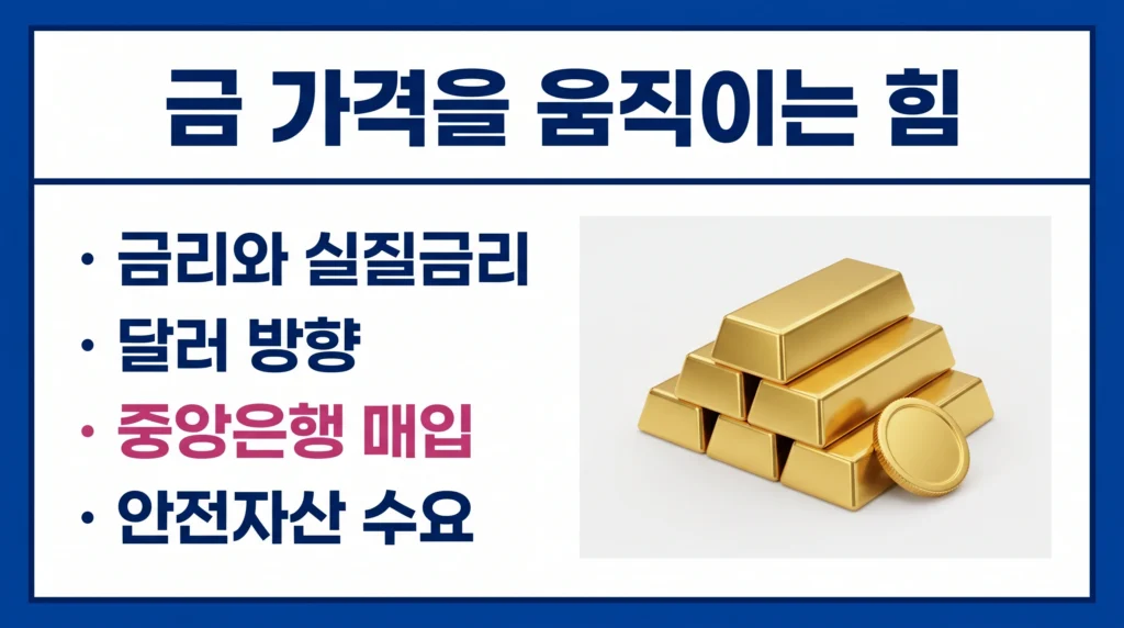 금 가격을 움직이는 금리와 달러, 중앙은행 수요를 정리한 설명 구성.