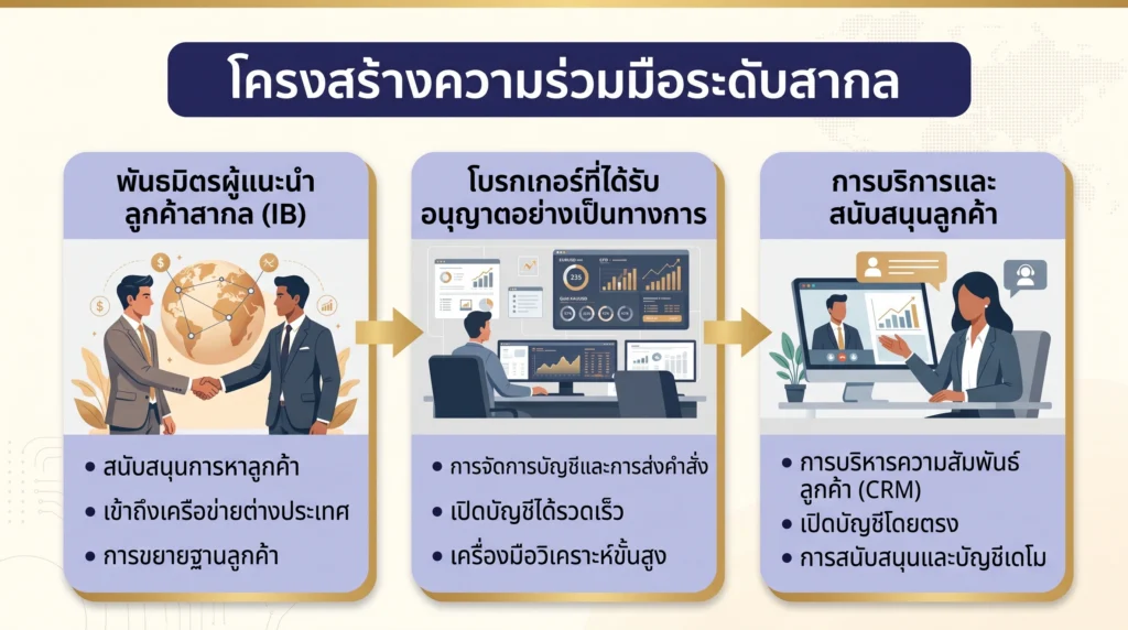 กราฟิกแสดงโครงสร้างพาร์ทเนอร์ชิปทางการเงินระดับโลก ที่แบ่งบทบาทระหว่าง Introducing Broker ต่างประเทศ โบรกเกอร์ที่ได้รับใบอนุญาต และลูกค้า