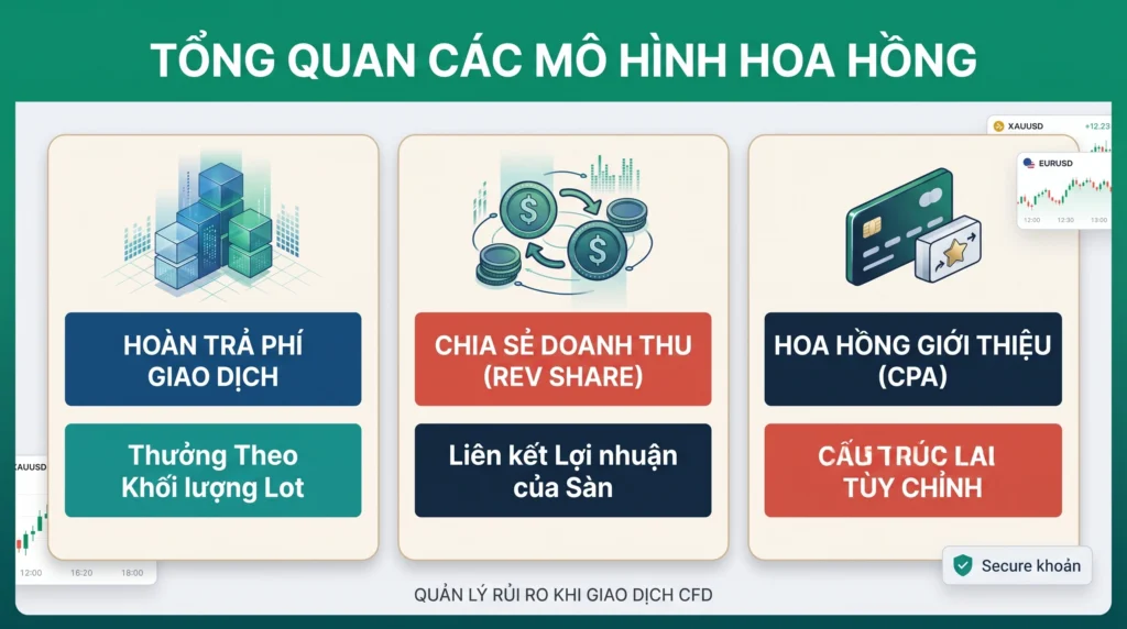 Infographic về hoa hồng của Introducing Broker so sánh hoa phí theo khối lượng giao dịch, chia sẻ doanh thu, thưởng theo lượt giới thiệu khách hàng và mô hình kết hợp.