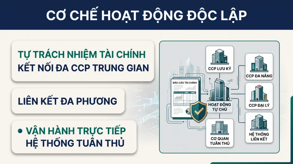 Đồ họa minh họa cấu trúc của IB độc lập với trách nhiệm tài chính tự chủ và tính linh hoạt trong việc hợp tác với nhiều tổ chức thanh toán bù trừ.