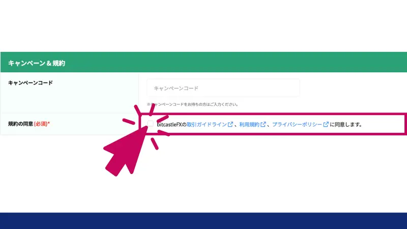 bitcastleの利用規約への同意