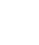 icon support