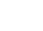 icon support
